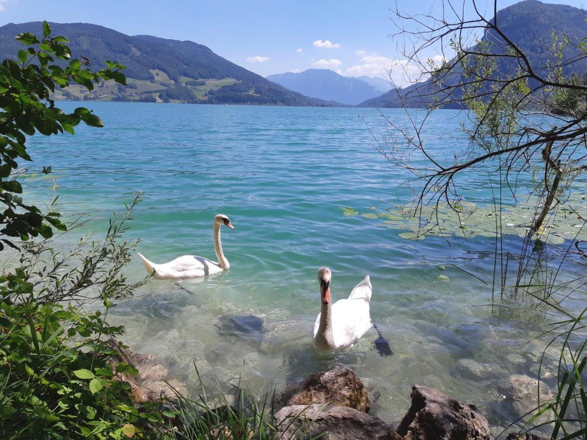 Apartment Am Wolfgangsee Strobl Luaran gambar